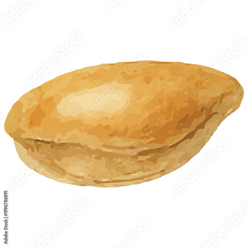 Smooth Oval Seashell Marine Ocean Shell Beach Minimal Coastal Style