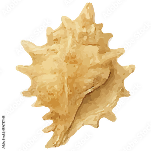 Spiky Murex Seashell Exotic Ocean Shell Marine Beach Coastal Design