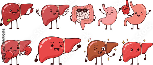 Cute cartoon liver and digestive organs characters vector illustration set with funny medical mascots and healthy concept