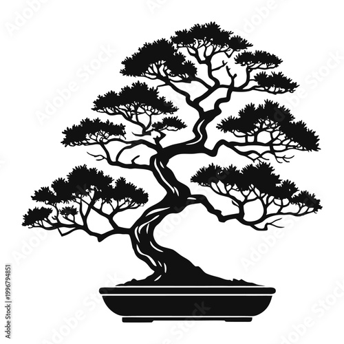 Minimalist black vector illustration featuring a silhouette of a bonsai and palm tree with detailed branches and leaves as a symbolic nature design