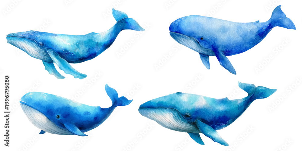 Fototapeta premium Blue watercolor whales swimming, a set of marine mammals painted with vibrant color textures, illustrating ocean wildlife and underwater life