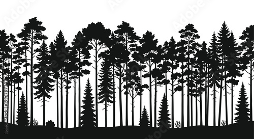 forest silhouette with black trees against white background