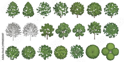 A collection of diverse green and grayscale tree illustrations shown from top and side views.