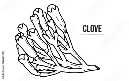 A detailed black and white illustration of a cluster of dried cloves, a fragrant spice derived from the flower buds of the clove tree.