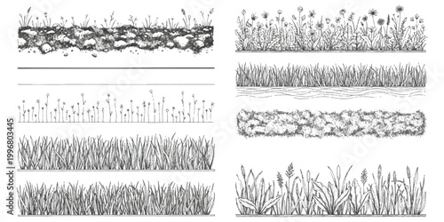 Set of hand drawn grass and flower border elements for nature design projects