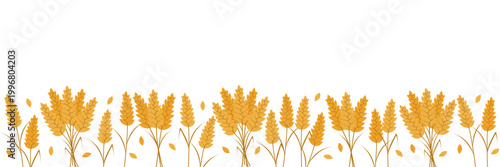 Frame with agricultural wheat and grain ears. Concept bread or farming, organic food. Vector illustration, copy space.