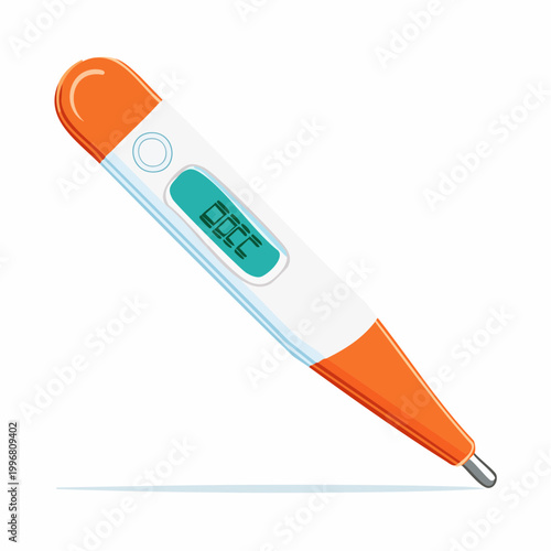 Digital Thermometer with LCD Display