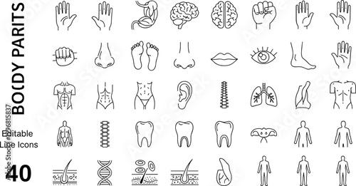 Human body parts anatomy line icons vector set organs healthcare medical outline symbols collection