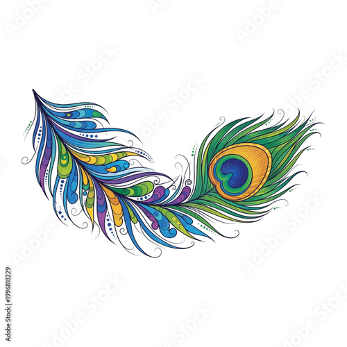 Curved peacock feather graphic