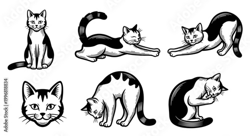 Monochrome illustrations of domestic cats in various poses and expressions.
