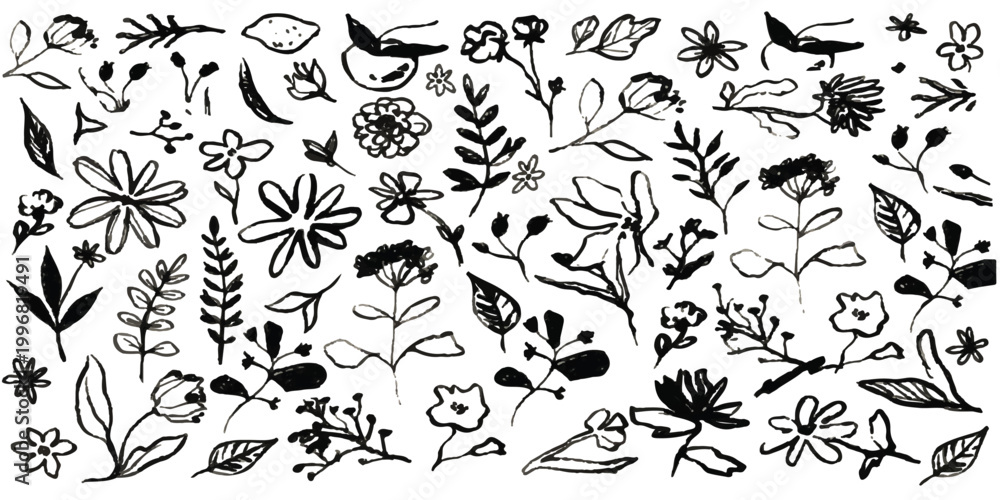 Fototapeta premium Set of hand drawn floral elements and decorative botanical sketches in black ink