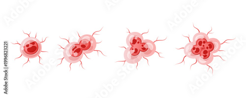 Cancer cell vector, cancer cell division isolated on white background.
