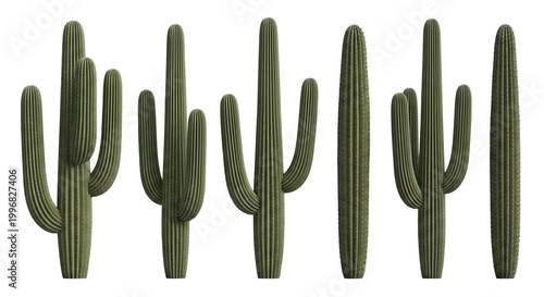 Collection of six detailed 3D saguaro cacti isolated on a transparent