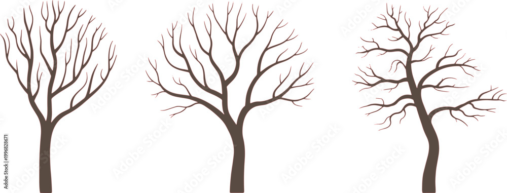 Obraz premium Trees featuring bare branches are displayed as silhouettes standing in a row against a solid white background.