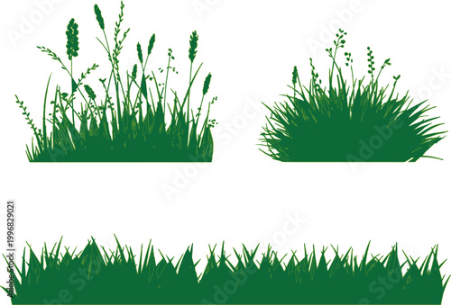Grass patches appear as isolated green silhouettes against a clean white background for botanical projects.