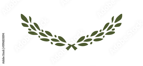 Billede på lærred Two green Olive Branches from the flag of Cyprus