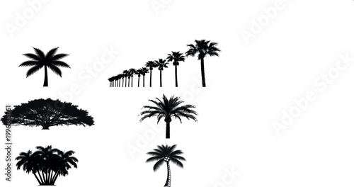 Assortment of palm trees and a large tree.