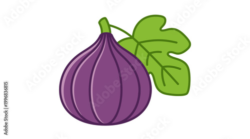 Purple Fig Fruit with Green Leaves.