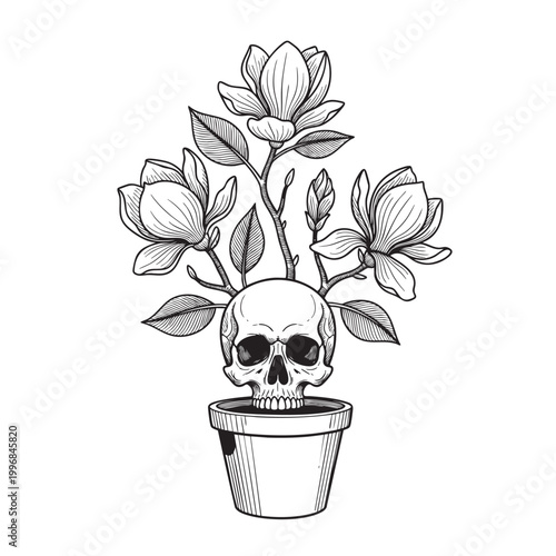 Flowering Magnolia Branches Growing from a Skull-Shaped Planter — Dark Botanical Ink Illustration Vector