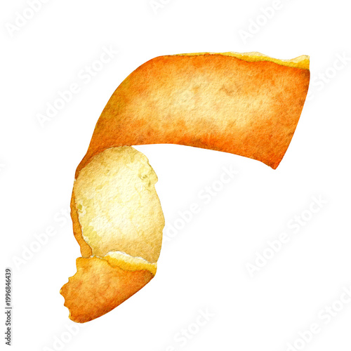 фотографія Watercolor spiral citrus peel isolated on white background, hand drawn orange, m