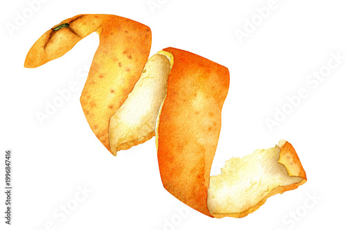 Картината върху платно Watercolor spiral of orange peel isolated on white background, hand painted citr