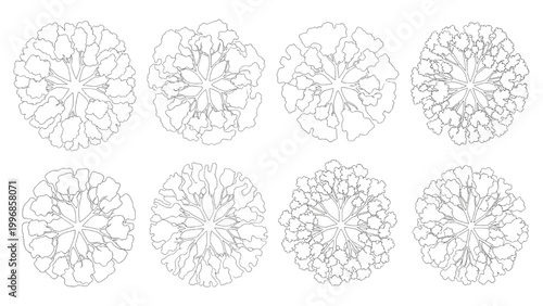 Collection of diverse outline tree and plant top view symbols for architectural landscape design plans