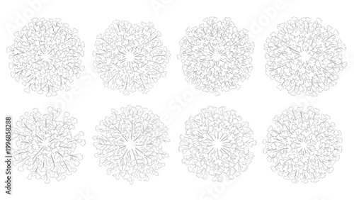 Visual Representation of Microscopic Structures Molecular and Cellular Organization Patterns
