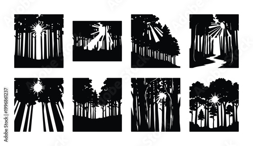 Valokuva Forest Silhouette Vector Graphics, Sunlight Rays Through Trees, Nature Landscape