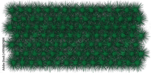 A lush green grassy field with dense foliage and rugged texture under direct sunlight