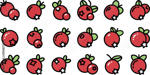 Collection of red berry with green leaves and star accents fruit leaf