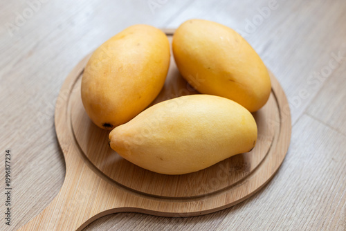 Fresh yellow picked mangoes displayed on wooden board