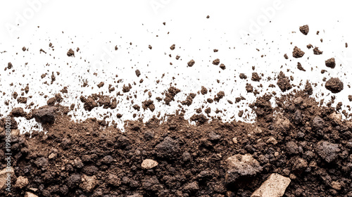 A section of dark earth with small stones against a black background