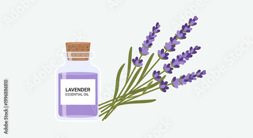 Vector illustration of a natural lavender essential oil bottle and a bunch of fragrant purple lavender flowers, perfect for aromatherapy, relaxation, and wellness concepts