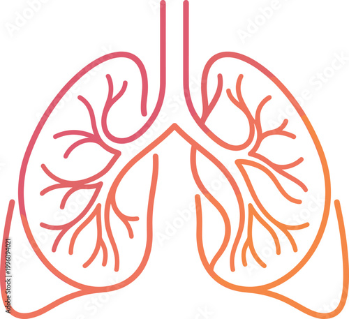 Human Lungs Illustration Featuring Gradient Line Drawing of Respiratory System with Bronchi and Trachea in Vector Artwork
