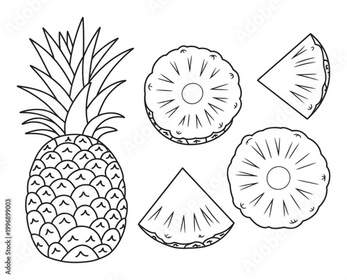 Black and White Line of a Whole Pineapple and Slices
