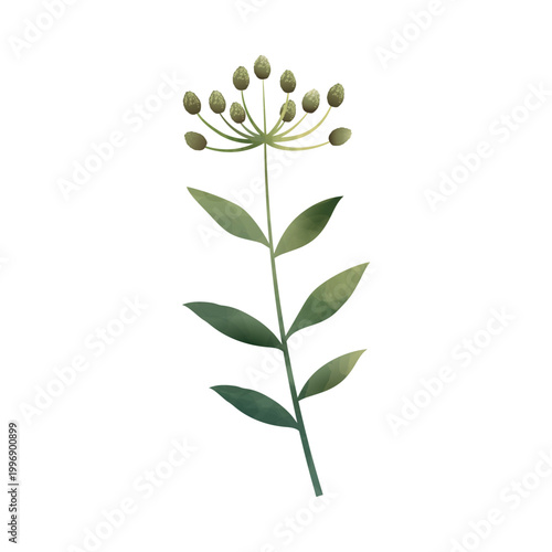 Watercolor green leaf with bud