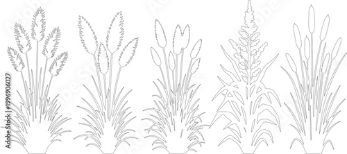 Minimalist pampas grass line art vector set, botanical dried floral illustrations, elegant bohemian plant outlines for wedding stationery