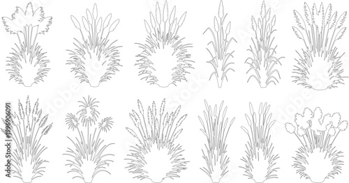 Minimalist botanical line art set, 12 wild grass and pampas vector icons, elegant floral plant sketches for wedding stationery and branding