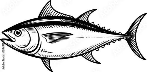 Detailed black and white illustration of a tuna fish with fins and scales, marine aquatic species drawing