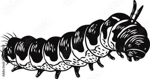 Black and white detailed illustration of a caterpillar with multiple legs and segmented body