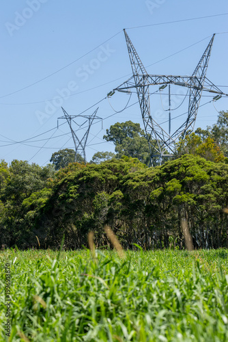 Electricity Pylons in Green Field on a Bright