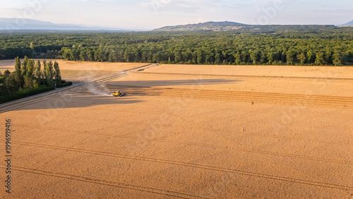 Bild auf Leinwand Combine harvester working in golden wheat field at sunset