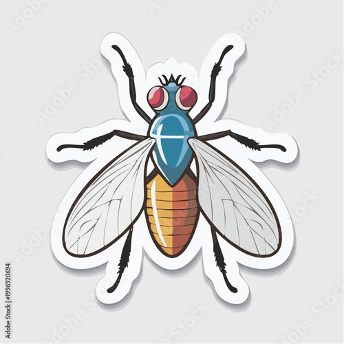 Cartoon Fly Illustration