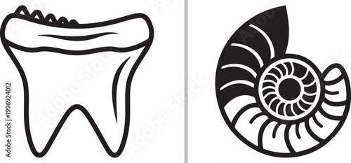 Minimalist black line art vector illustration of a molar tooth and an ammonite fossil isolated on white background