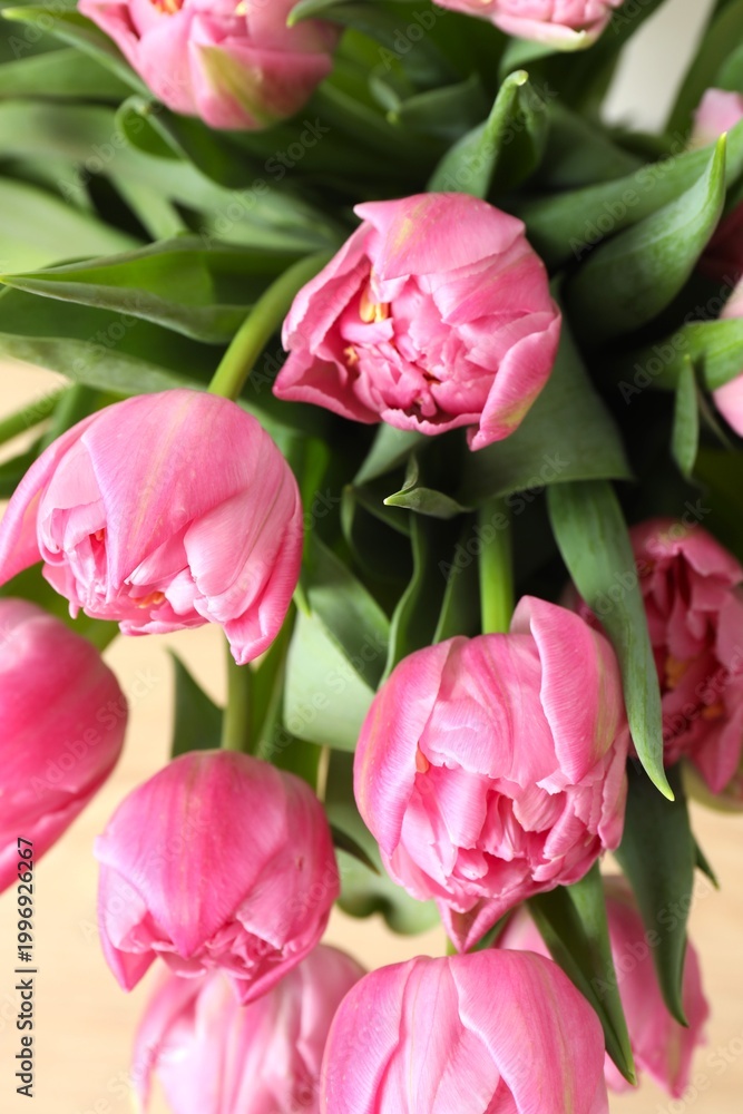 Obraz premium Beautiful pink tulips, close-up, vertical view
