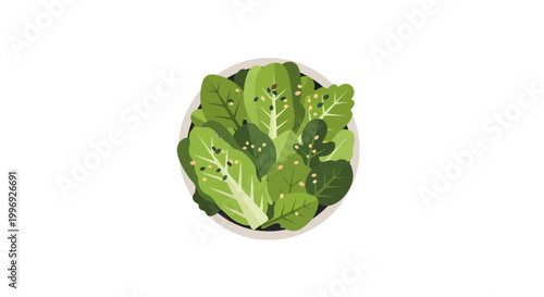 Fresh green lettuce leaves in bowl.