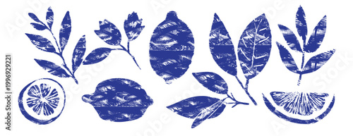 Blue Mediterranean lemons and leaves vector set. Hand-drawn linocut style for summer branding, Italian food packaging, and rustic menu design. Textured citrus fruit elements isolated on white