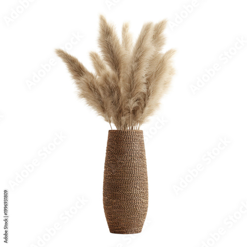 A stylish vase filled with fluffy pampas grass on transparent background