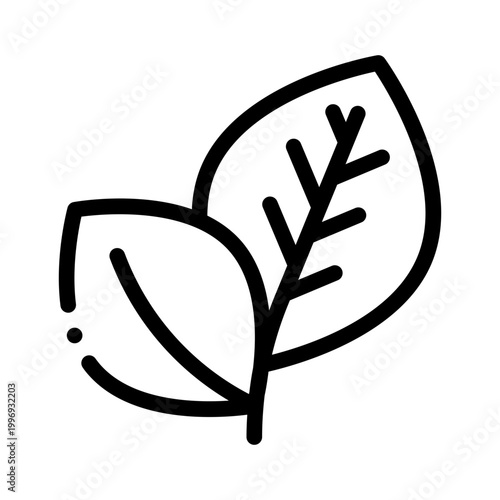 leaf line icon