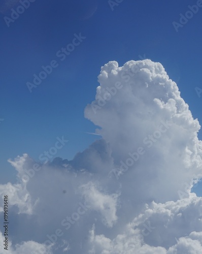 cumulus congestus